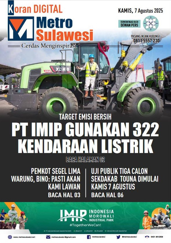 coverimipp1.JPG