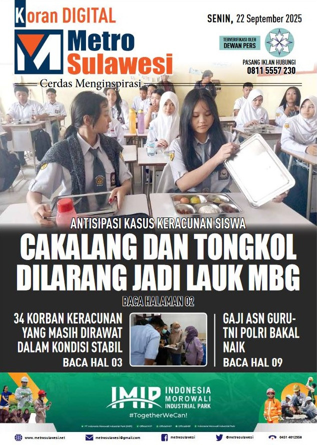covermbg.JPG