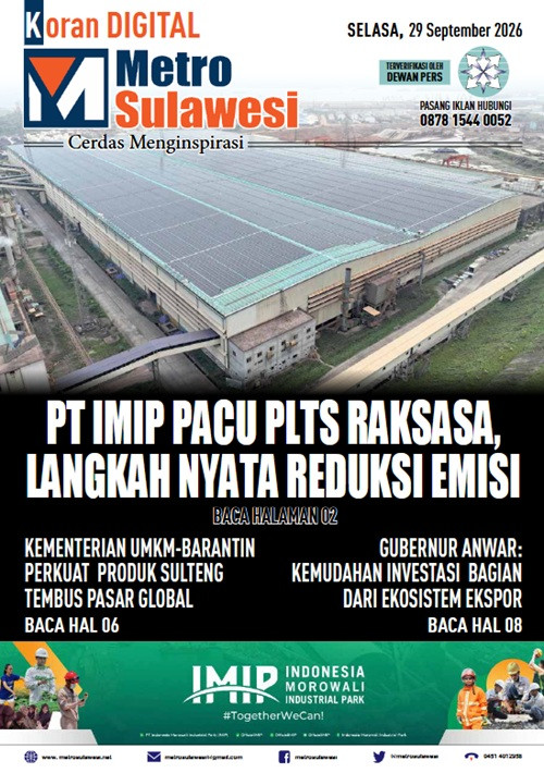 imip4.jpg