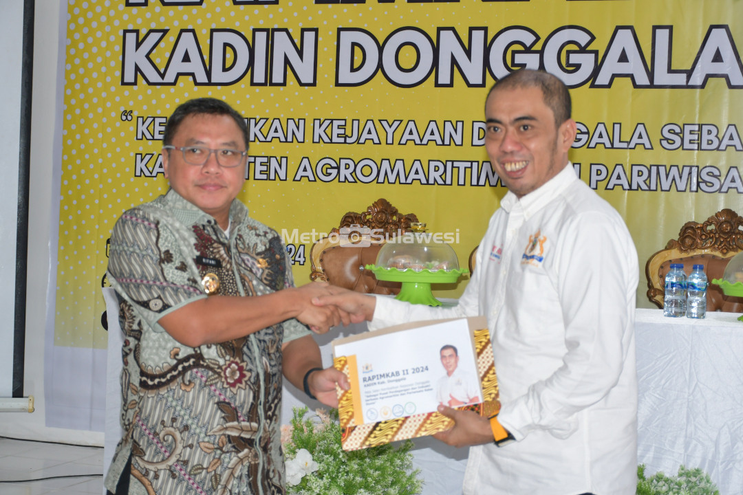 0_HL_(10).JPG