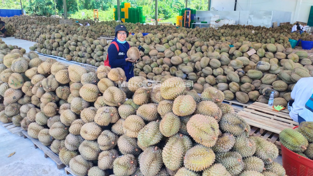 FOTO_B-PARIMO-DURIAN.jpg