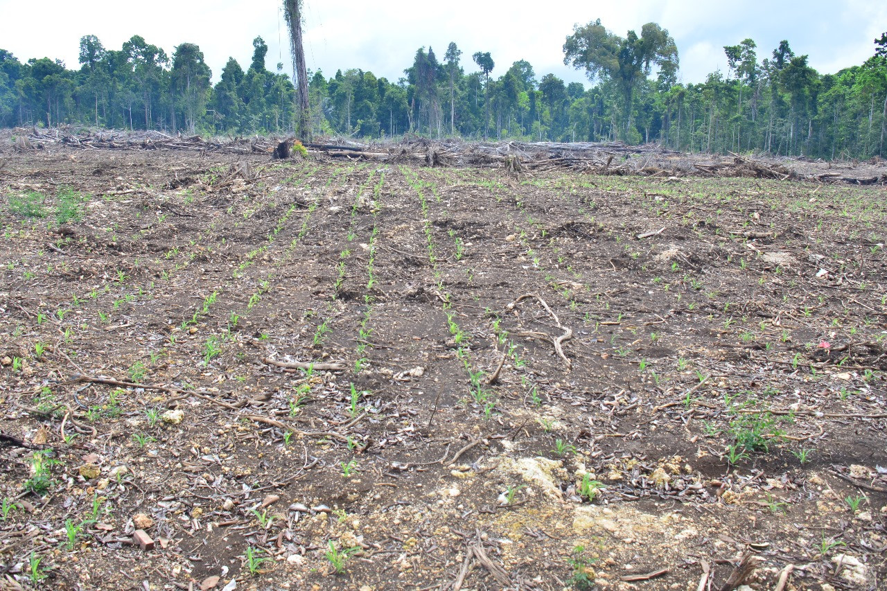 FOTO_BERITA_1---DTPH_KPN.jpg
