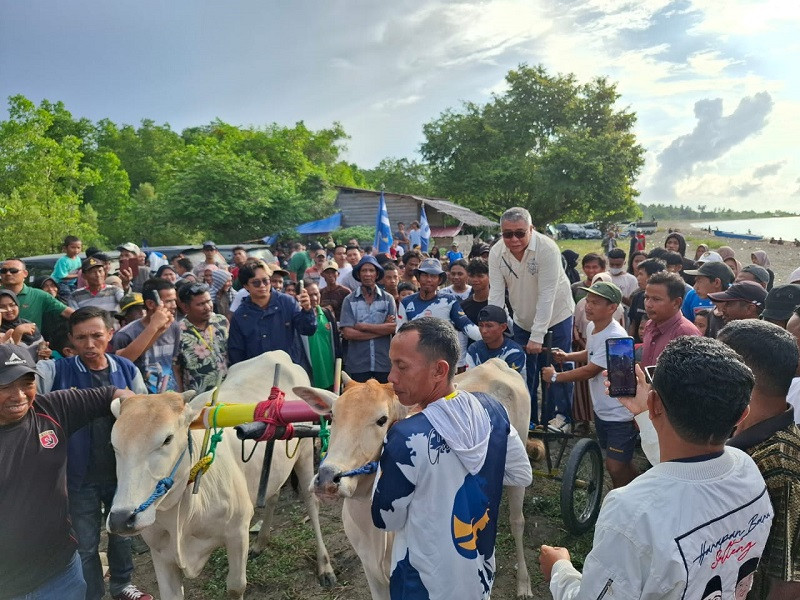 SAPI.jpg