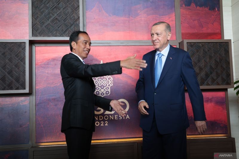 antarafoto-bilateral-indonesia-turki-g20-14112022-has-1_1.jpg