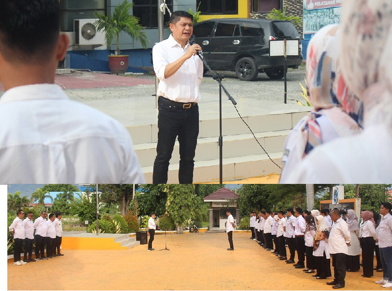 bpn32.jpg