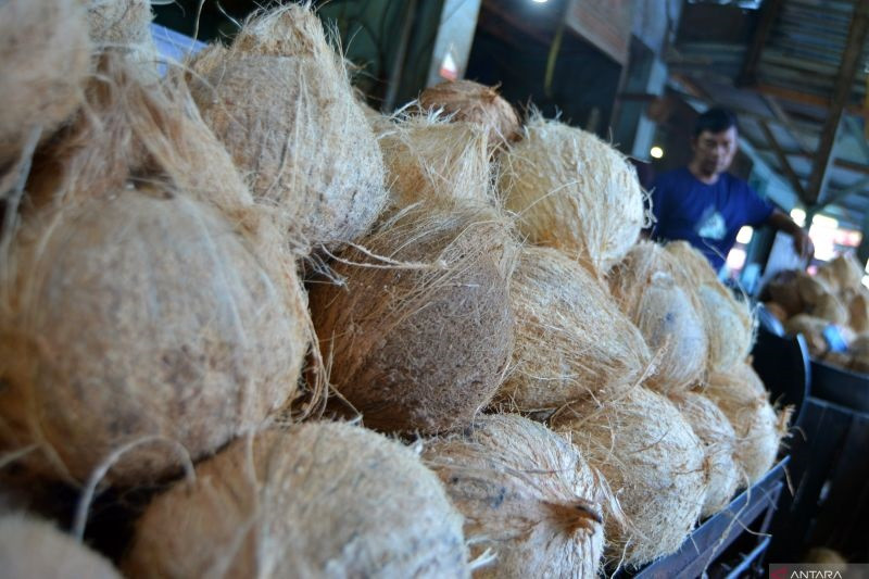 buahkelapa.jpg