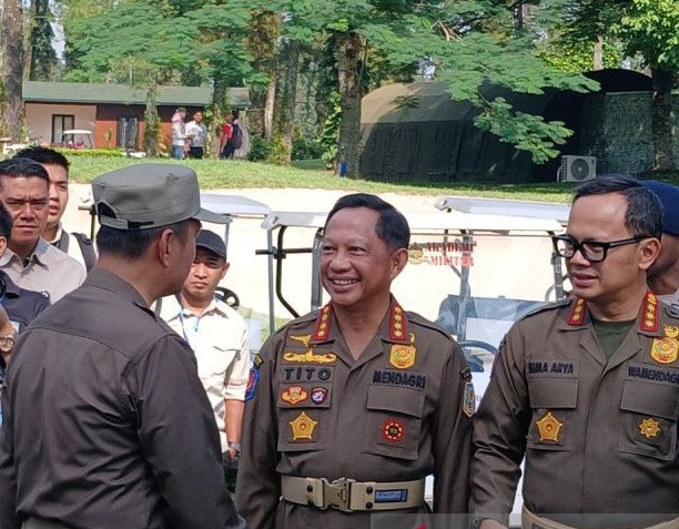mendagr.jpg