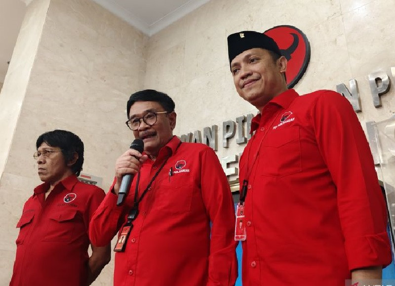 pdip3.jpg