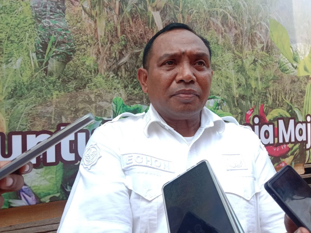 Ratusan Ribu Bibit Durian Dibagikan Ke Petani Sulteng