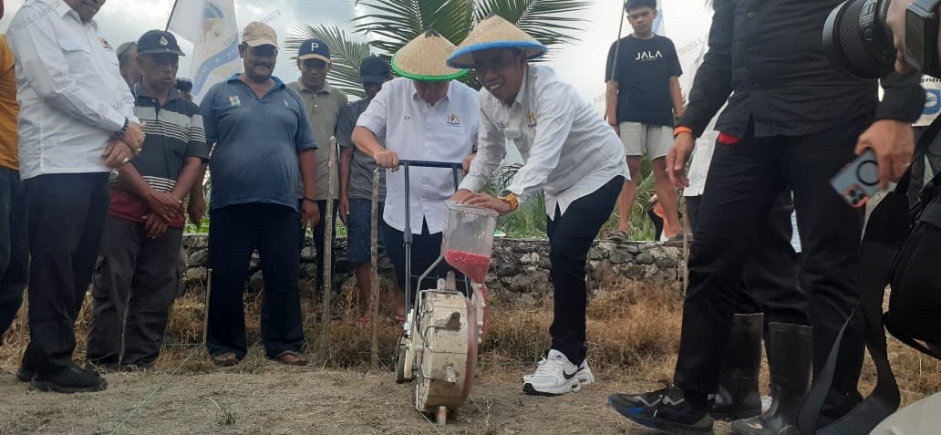 Jagung Bawa Kadin Donggala Nominator KIA