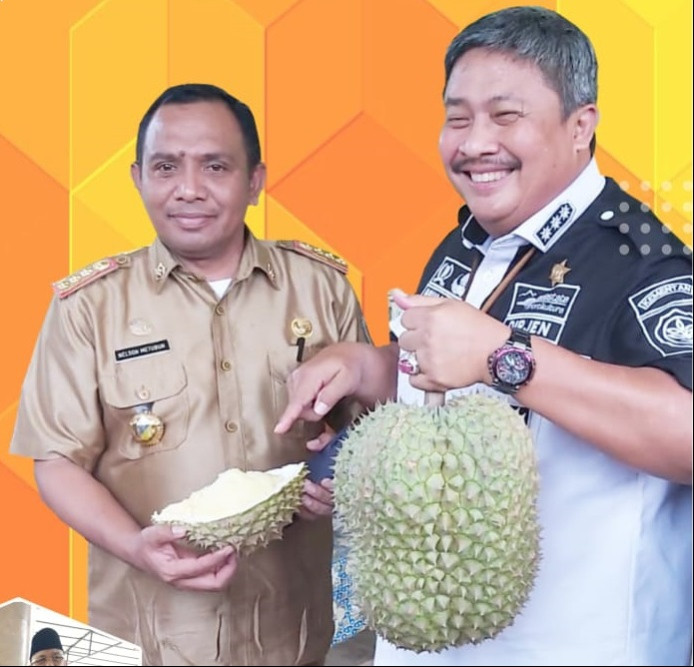Lima Durian Termahal di Dunia Sudah ada di Parimo
