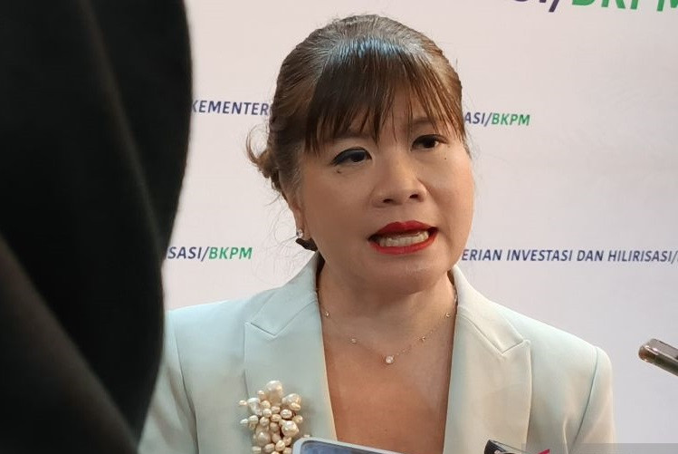 Soal LG Mundur Investasi di RI, Apindo Yakini Hanya Penundaan