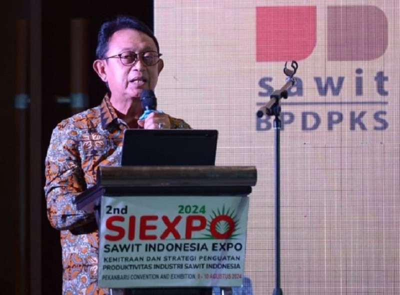Gapki Minta Penataan Pabrik Kelapa Sawit Tanpa Kebun
