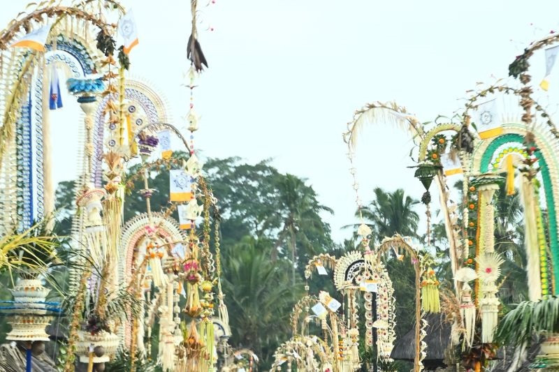 hijau.jpg