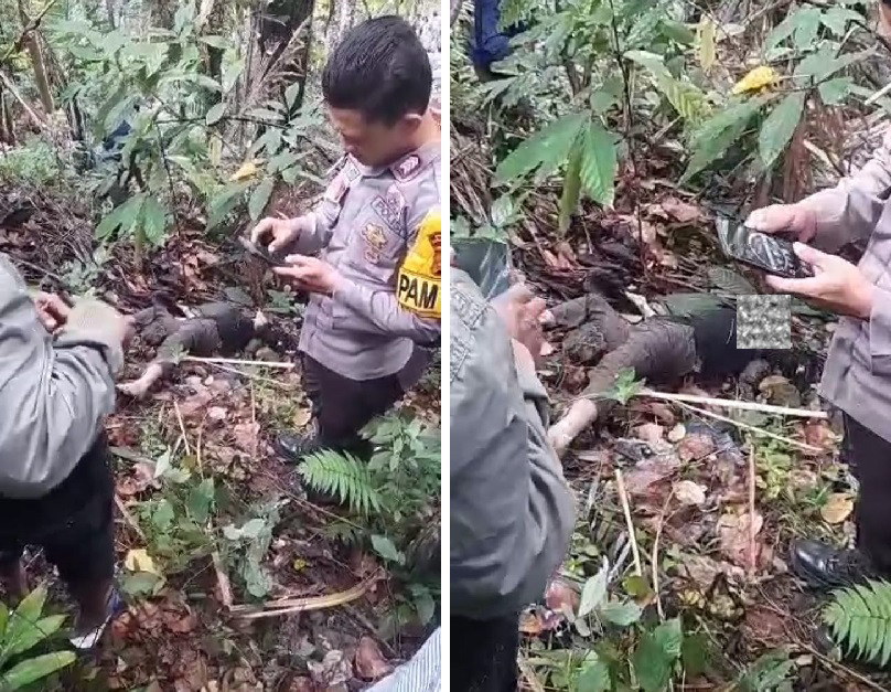 Mayat Yang Ditemukan di Kebun Kopi Ternyata Masita Warga Tojo Unauna