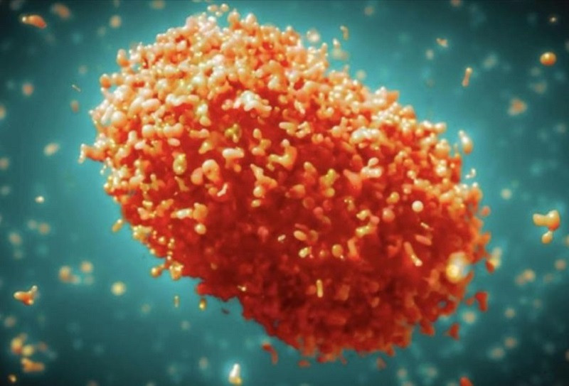 Kasus Mpox di Australia Melonjak: 35 Kasus Dilaporkan Dalam 15 Hari
