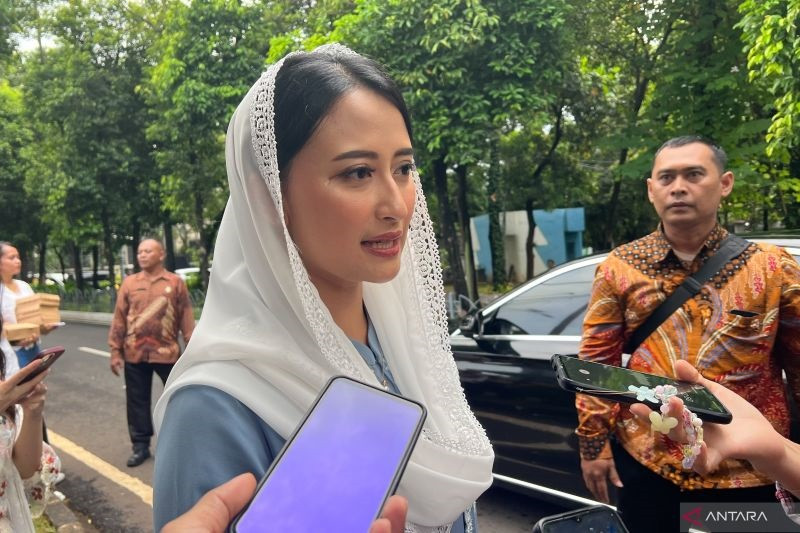 Wamendag Koordinasi ke Satgas Pangan Usut Pengusaha Ubah Kemasan Beras