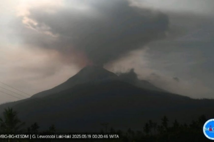 Gunung Lewotobi Laki-laki Lontarkan Abu Setinggi 1.200 Meter