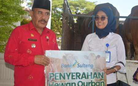 Bank Sulteng Donggala Sumbang Dua Ekor Sapi Kurban
