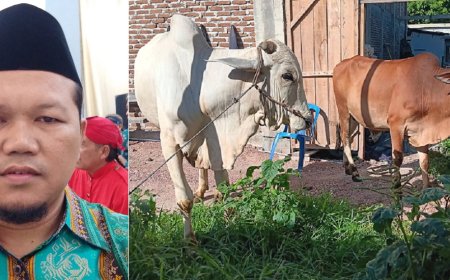 Warga Jawa di Sulteng Kurban 232 Ekor Sapi, Berikut Daftar Lengkap Yang Berkurban