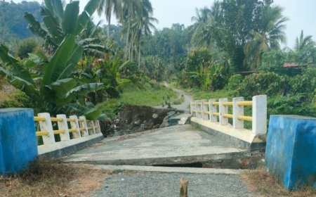 Puluhan Rumah Warga Terendam Banjir di Desa Tambarana Poso