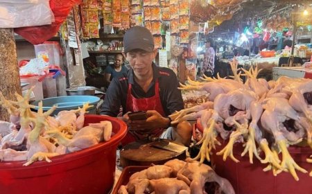 Bapanas: Harga Daging Ayam Rp33.333/Kg, Cabai Rawit Merah Rp44.800/Kg