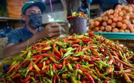 Bapanas: Harga Cabai Rawit Rp51.955/Kg, Bawang Merah Rp38.975/Kg