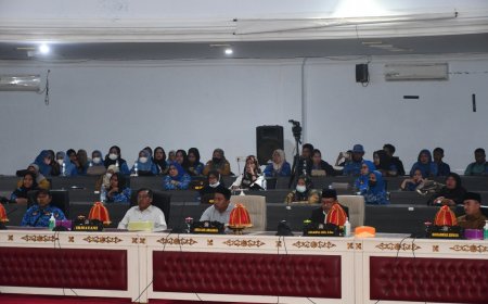 PAD Kecil, DPRD Donggala  Angkat Tangan Soal Gaji P3K