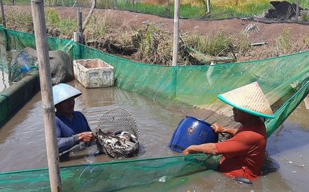 Investor Siapkan 690 Juta Euro Bangun Kawasan Industri Sidat Cilacap