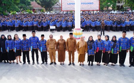 Ada yang Mengundurkan Diri, Pemprov Serahkan 2.402 SK P3K Formasi 2024