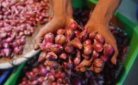 Bapanas: Harga Bawang Merah Rp42.429/Kg, Cabai Rawit Rp62.857/Kg
