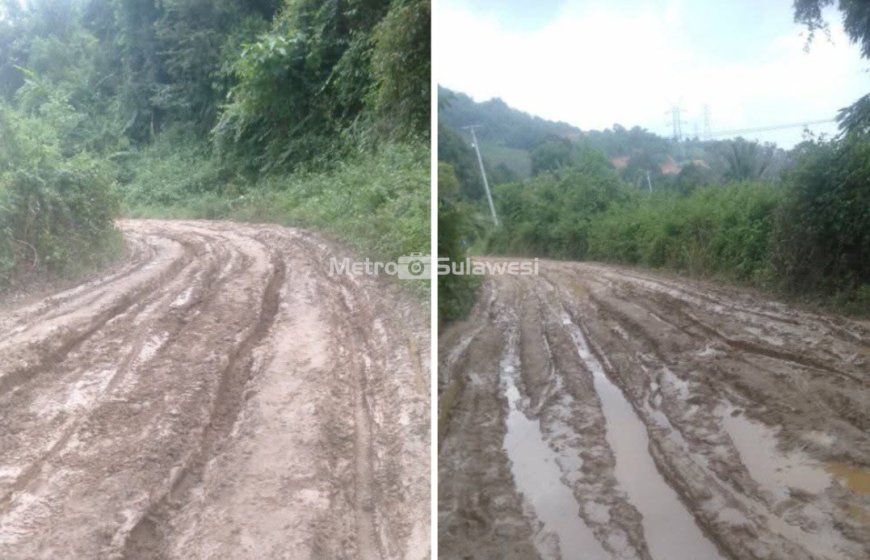 Jalan Poros Peure dan Dulumai Rusak Parah