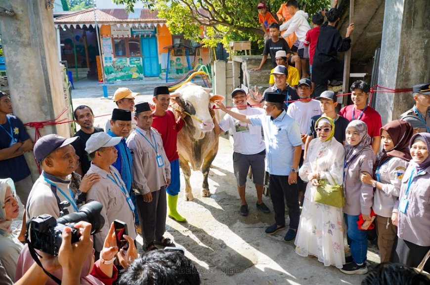 Sapi Kurban Presiden untuk Warga Talise Diberi Nama Baron, Berikut Ini Respons Gubernur