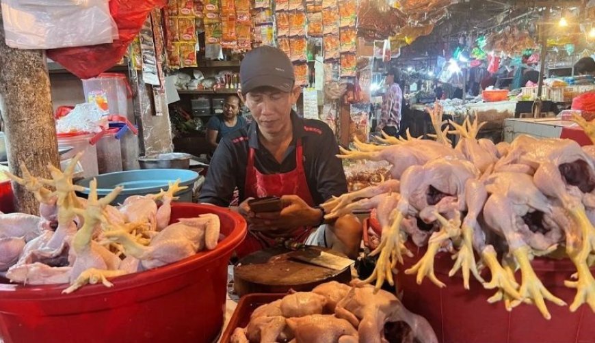 Bapanas: Harga Daging Ayam Rp33.333/Kg, Cabai Rawit Merah Rp44.800/Kg