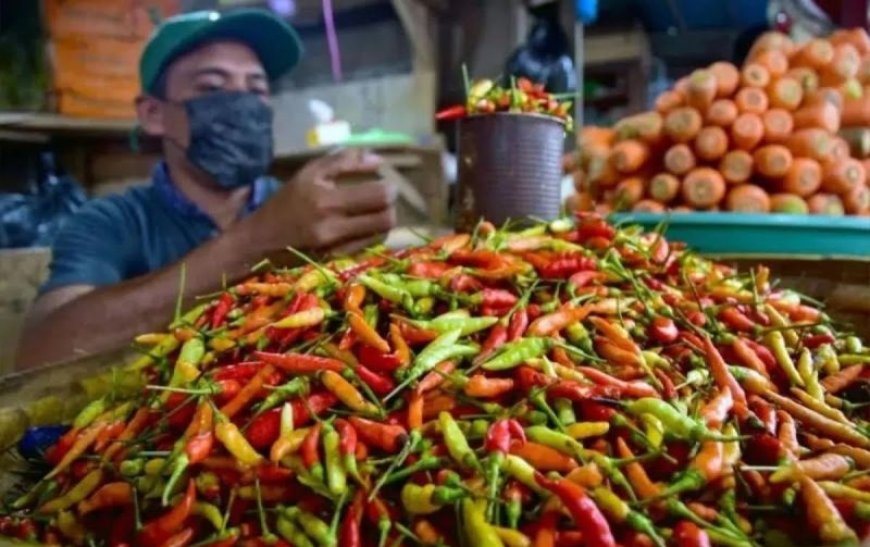 Bapanas: Harga Cabai Rawit Rp51.955/Kg, Bawang Merah Rp38.975/Kg