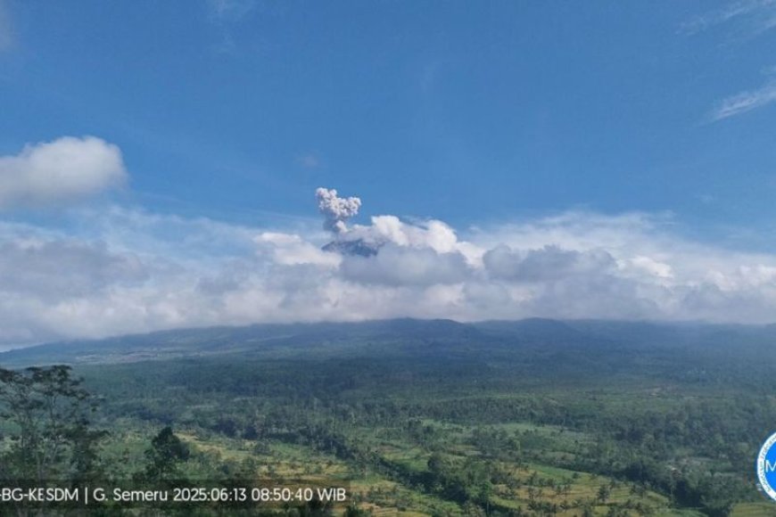 Gunung Semeru Erupsi dengan Tinggi Letusan 700 Meter di Atas Puncak