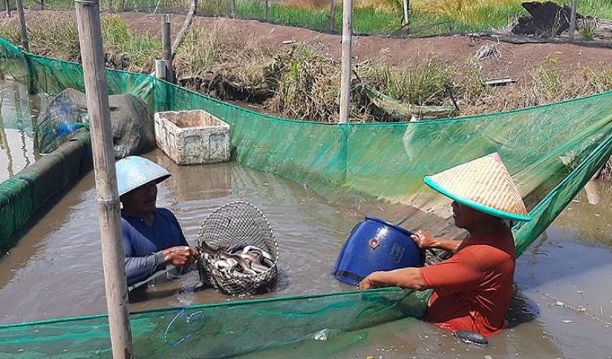 Investor Siapkan 690 Juta Euro Bangun Kawasan Industri Sidat Cilacap