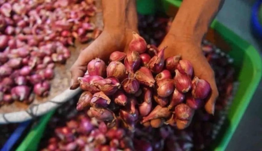 Bapanas: Harga Bawang Merah Rp42.429/Kg, Cabai Rawit Rp62.857/Kg