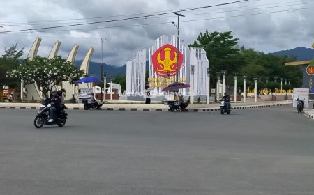 Dua Proyek di Untad Disorot Gerbang Rp14 M, Toilet Rp3,3 M