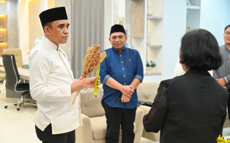 Komoditi Sorgum Akan Dikembangkan di Sulteng