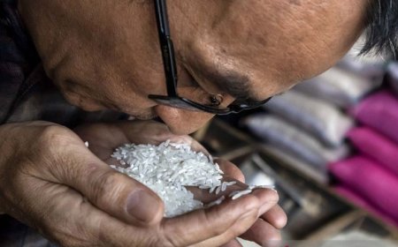 Beras Oplosan dan Pentingnya Pengawasan Atas Hak Konsumen