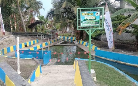 Kelurahan Baiya Raih Peringkat 1 Lomba Desa-Kelurahan 2025