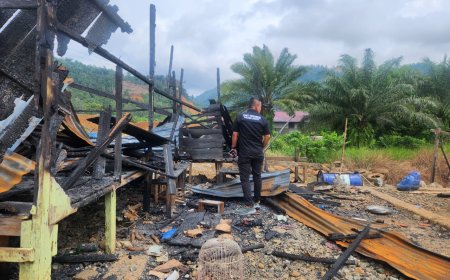 Bentrok Warga Bimor Jaya-Keuno, Polisi Tetapkan 12 Tersangka