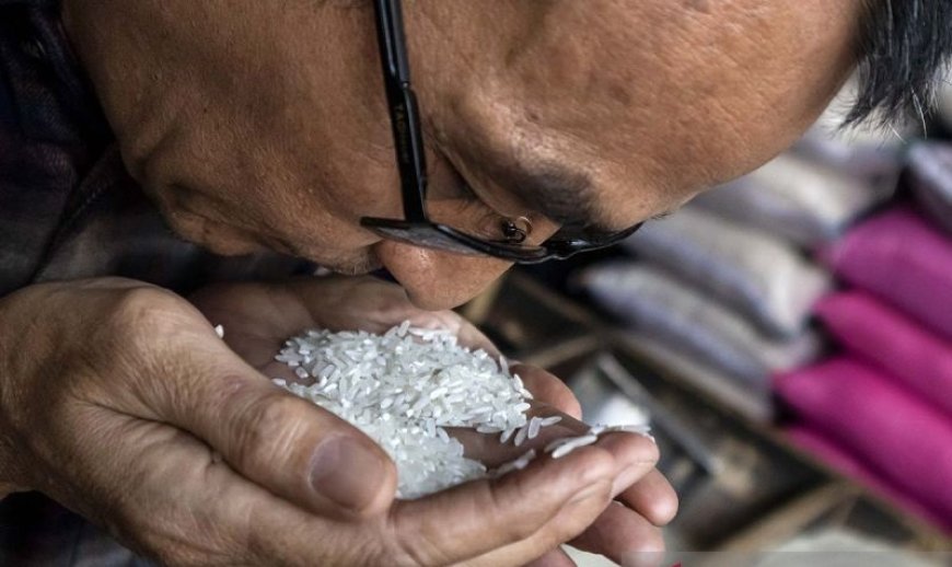 Beras Oplosan dan Pentingnya Pengawasan Atas Hak Konsumen