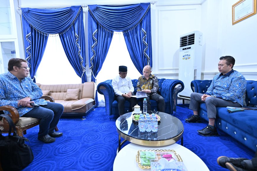 Konsorsium Pengusaha Tiongkok Berencana Investasi di Sulteng, Gubernur: Segera Realisasikan