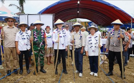 Verna Optimistis, Poso Jadi Sentra Produksi Jagung