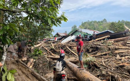 Banjir Bandang Terjang Desa Namo, BPBD Pastikan Tak Ada Korban Jiwa