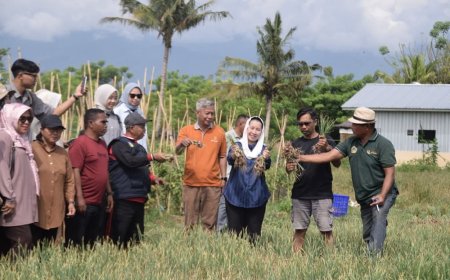 Pemkot Palu Diminta Bantu Pasarkan Bawang Goreng