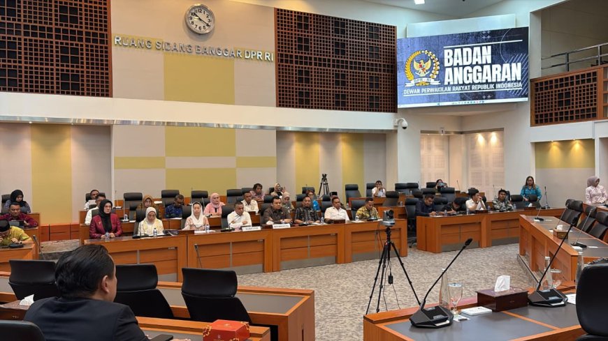 Perjuangkan DBH SDA di Banggar DPR RI