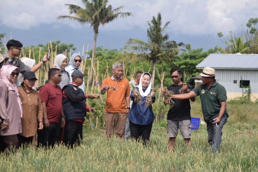 Pemkot Palu Diminta Bantu Pasarkan Bawang Goreng